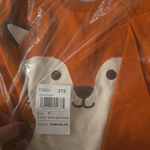 Gymboree pumpkin pie color fox long-sleeved shirt - Picture 1 of 3